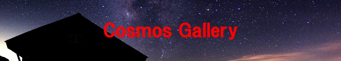 Cosmos Gallery 