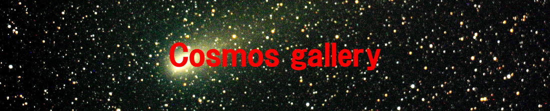 Cosmos gallery 